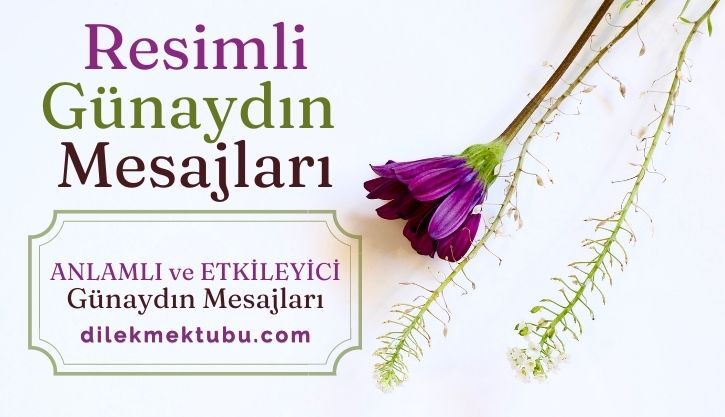 günaydın mesajları