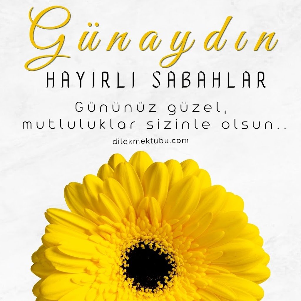 günaydın mesajları