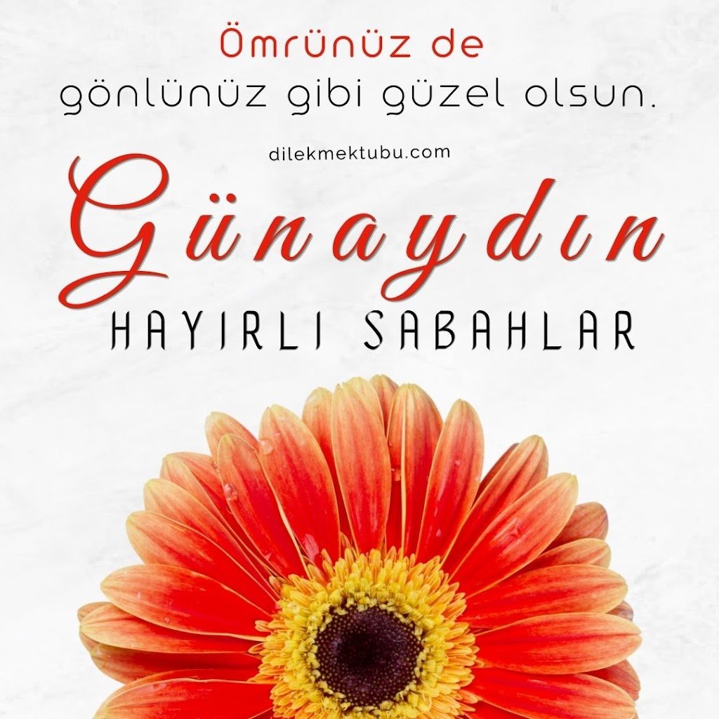 Anlamlı ve Resimli Günaydın Mesajları