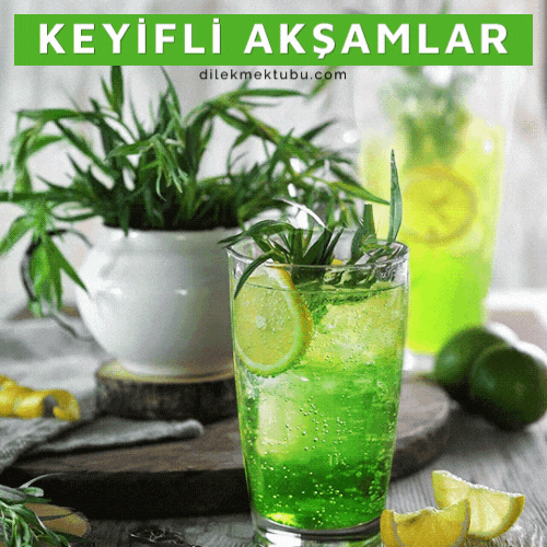 hareketli iyi akşamlar mesajı