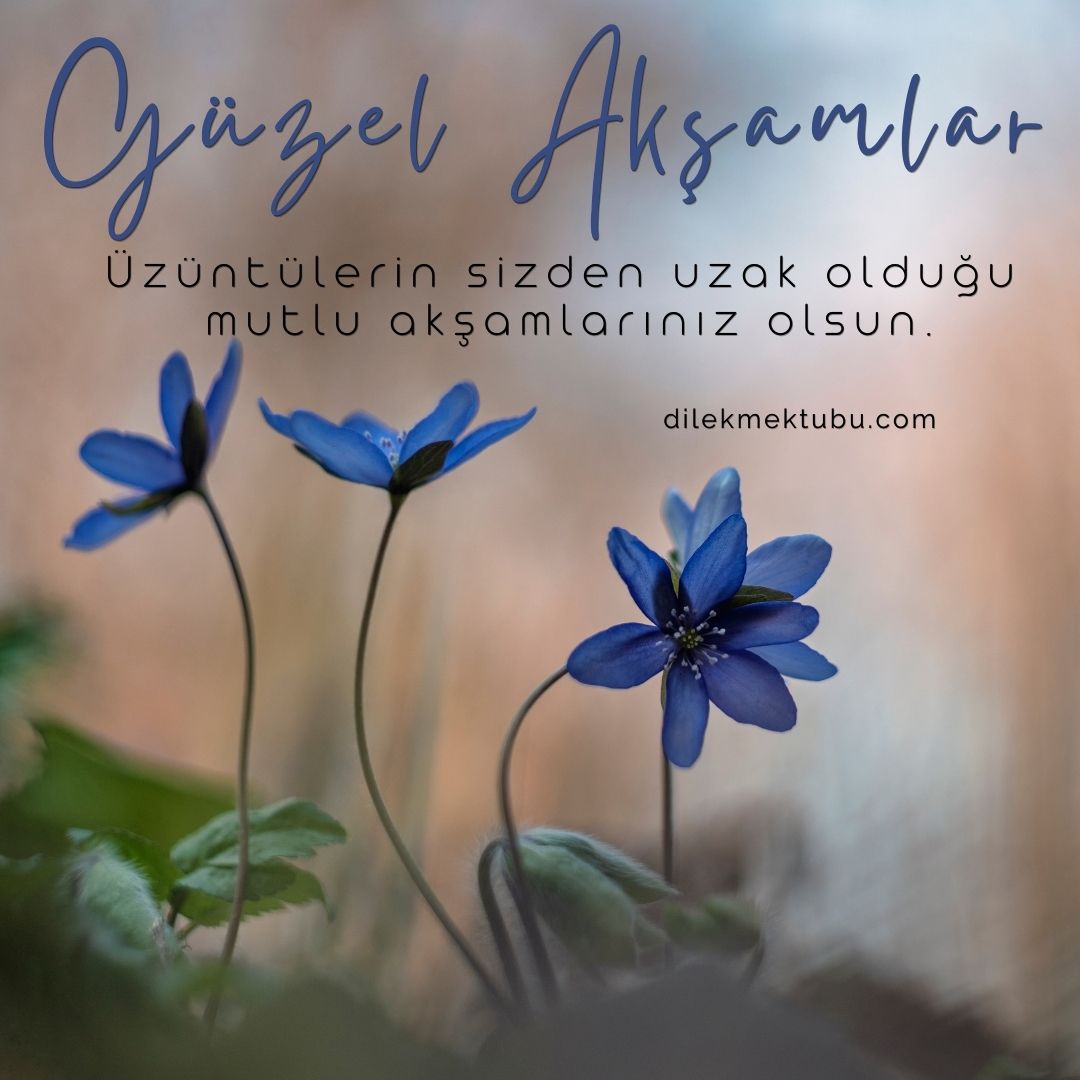 iyi akşamlar mesajı