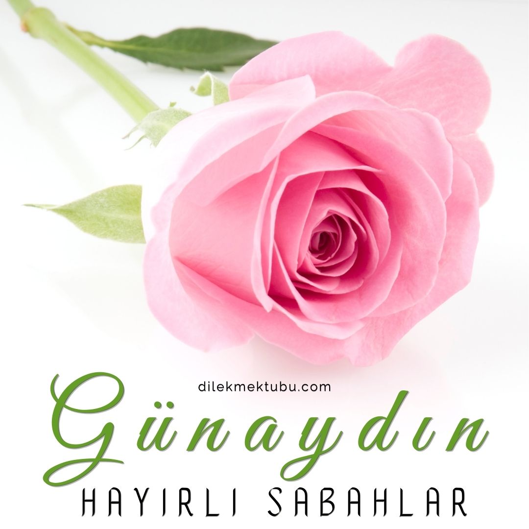 Günaydın Mesajları
