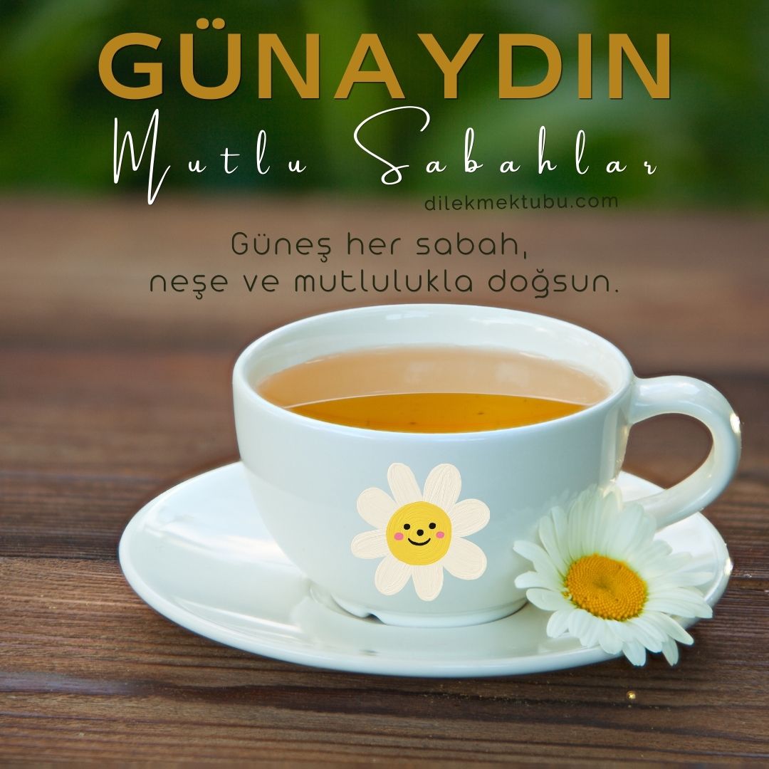 Yeni Günaydın Mesajları