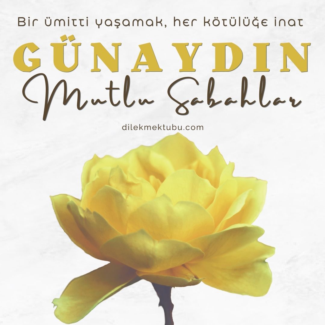 Güzel Sabahlar - En Yeni Resimli Günaydın Mesajları