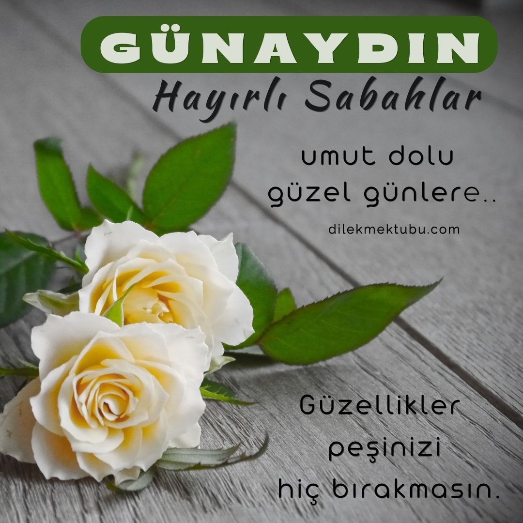 En Yeni Resimli Günaydın Mesajları
