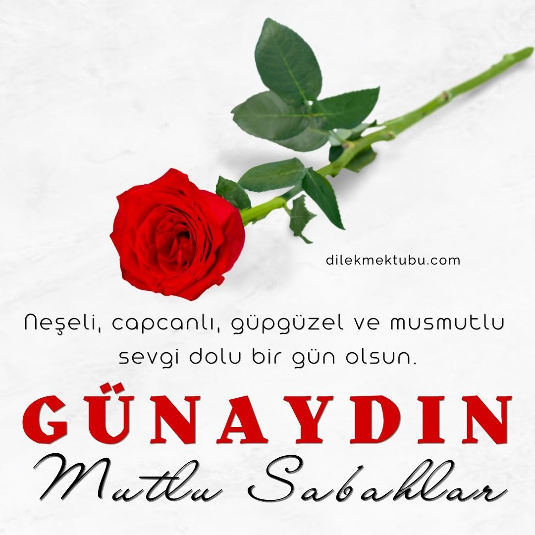 Günaydın Mesajları