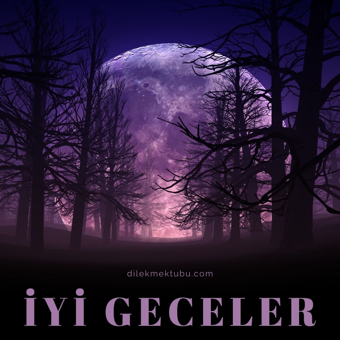 Resimli İyi Geceler Mesajları