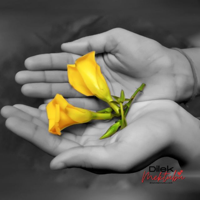 İyileştiren Sevgilere ihtiyacı var insanın