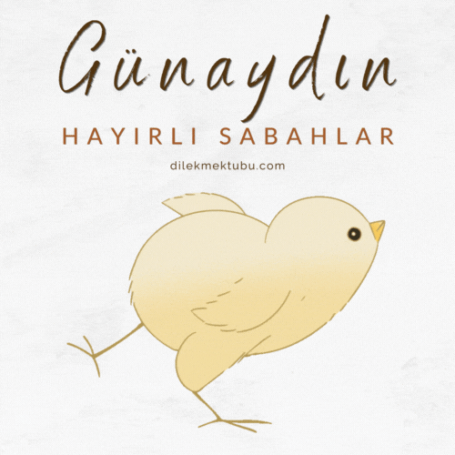 hareketli günaydın