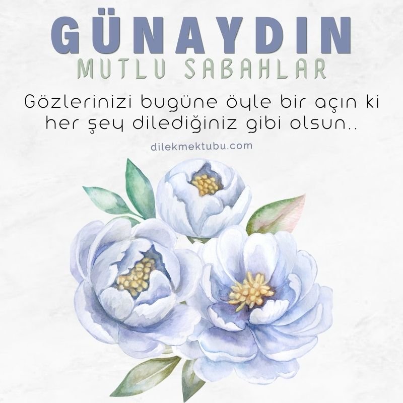 Günaydın Mesajları 13 Kasım 2022