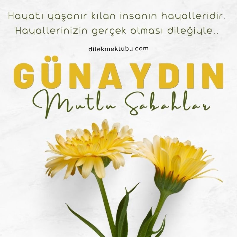Günaydın Mesajları 13 Kasım 2022