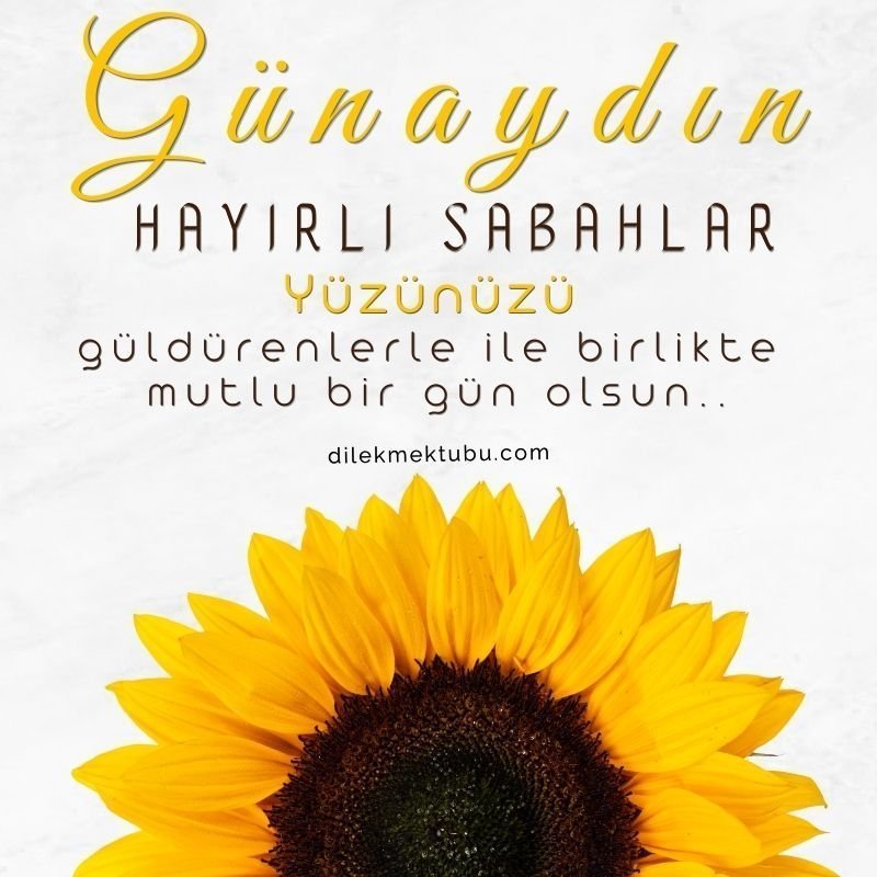 mutlu sabahlar