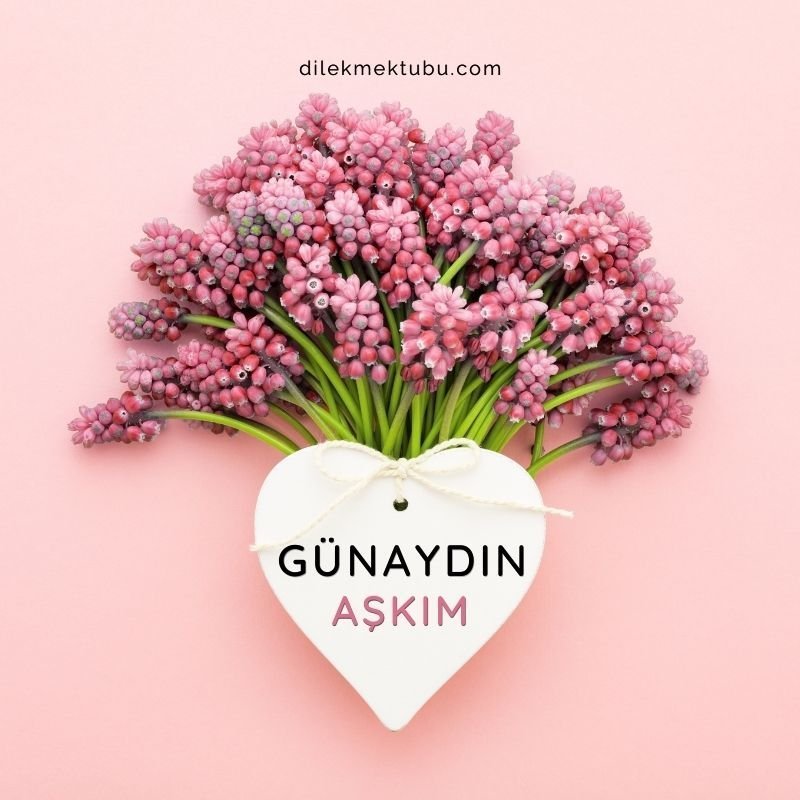 günaydın sevgilim