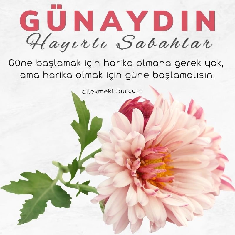 hayırlı sabahlar