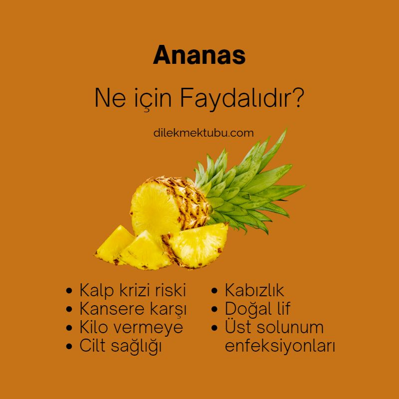 ananas neye faydalı