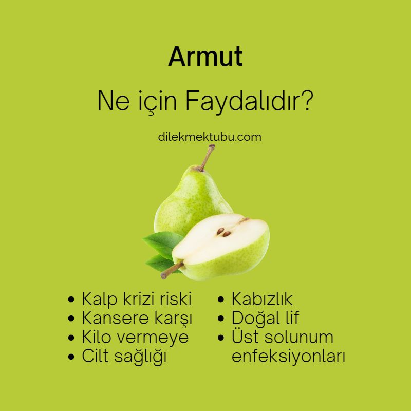 Meyvelerin Faydaları