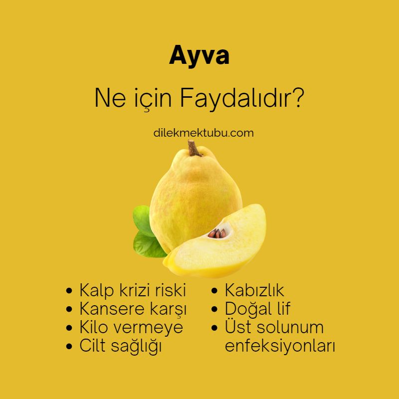 ayva neye faydalı