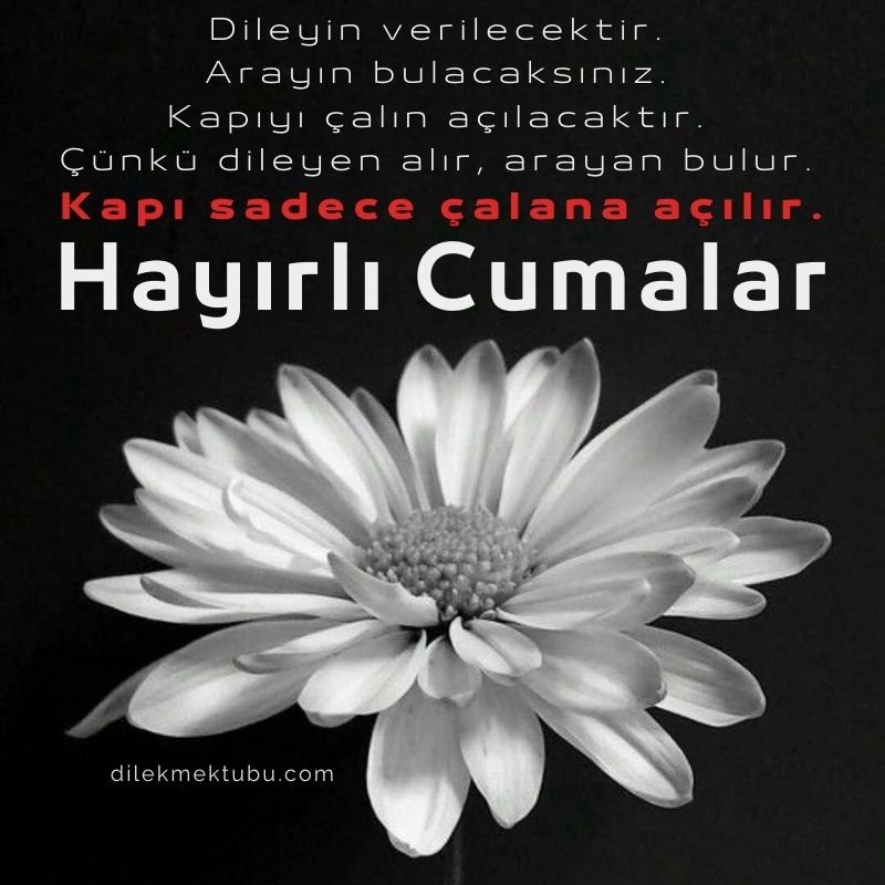 Cuma Mesajları / Dostlara ve Arkadaşlara 