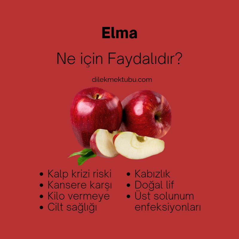 elma neye faydalı