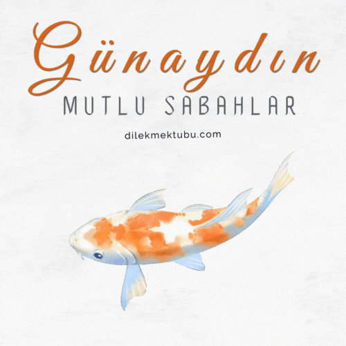 hareketli günaydın mesajı