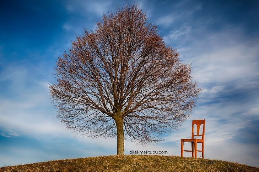 sözüm sana ey hayat