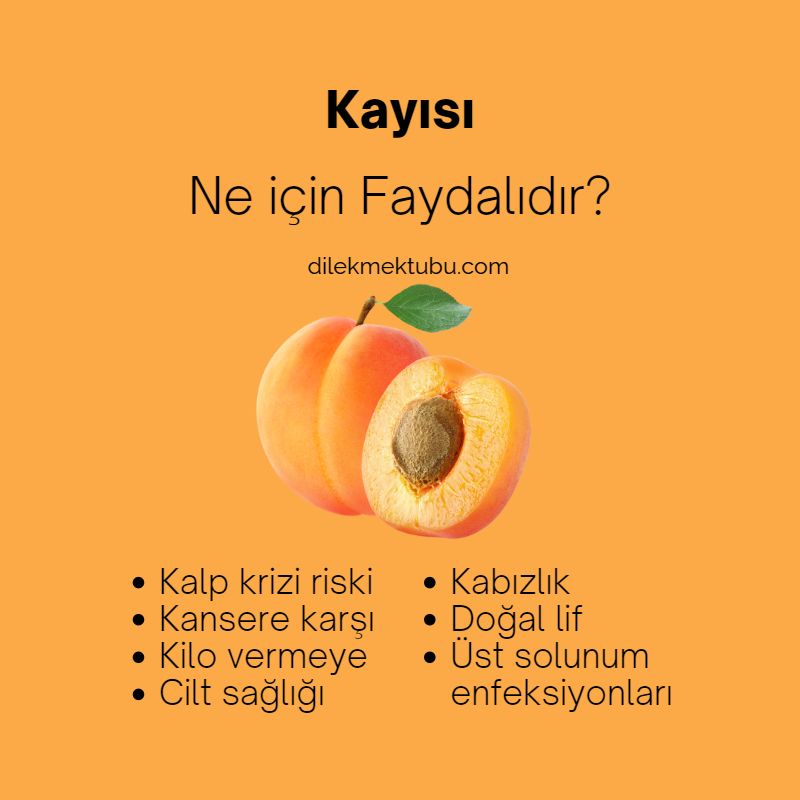 Faydalı Meyveler