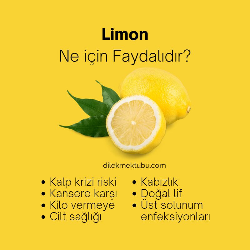 Meyvelerin Faydaları