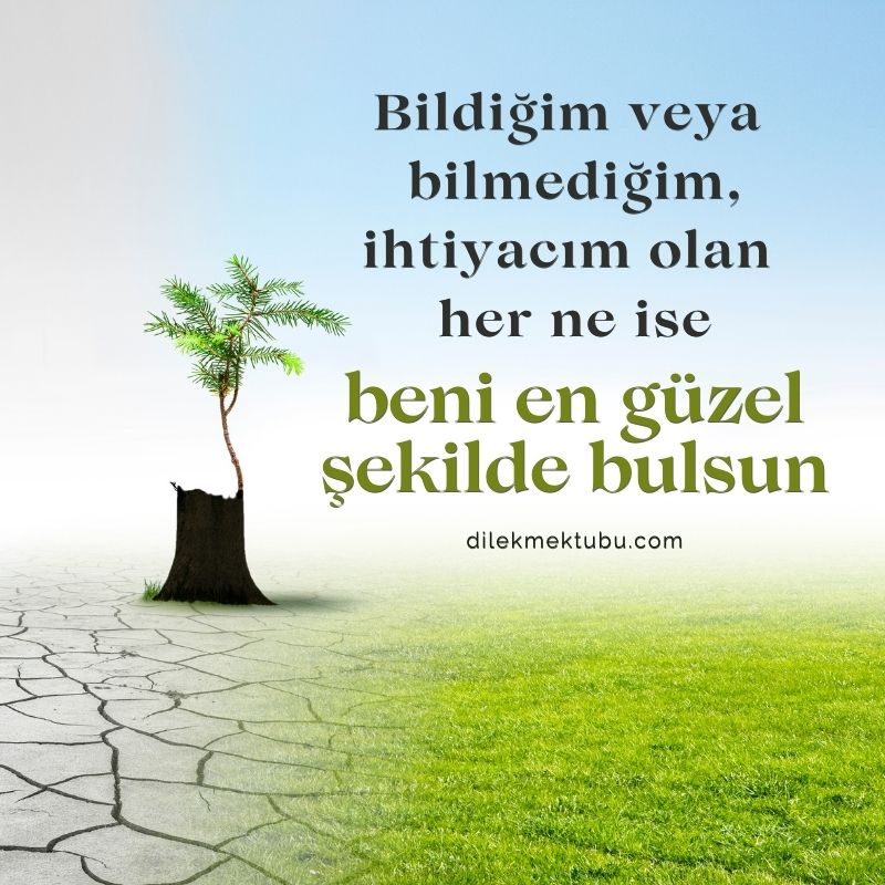 motive edici sözler