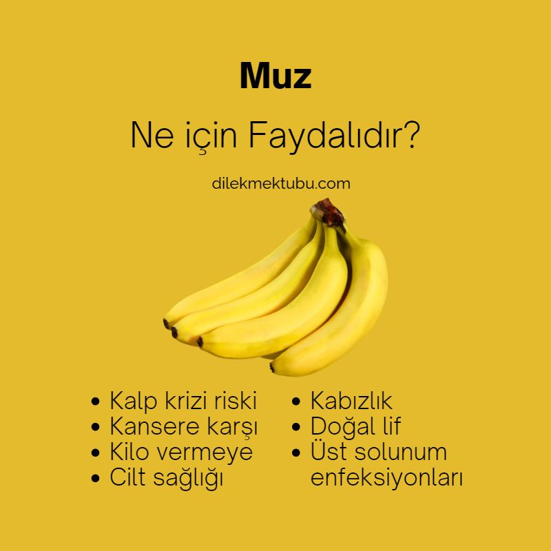Meyvelerin Faydaları