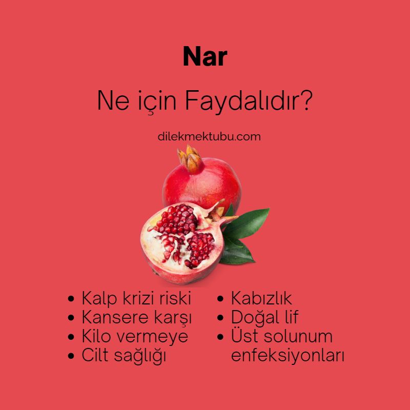 Meyvelerin Faydaları