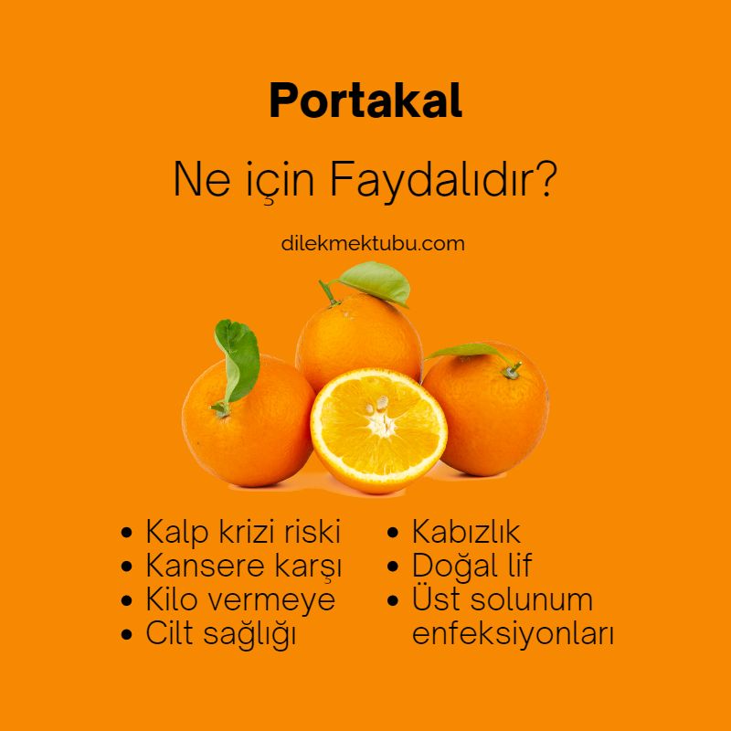Meyvelerin Faydaları