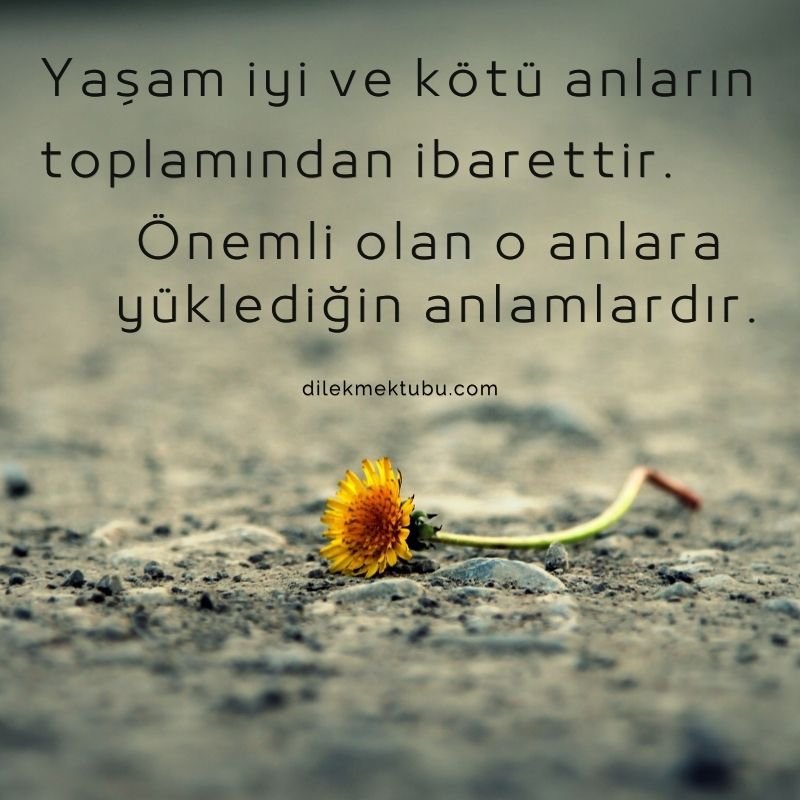 Güzel Sözler 17 Kasım 2022