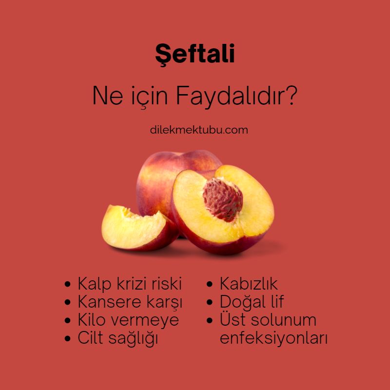 Meyvelerin Faydaları