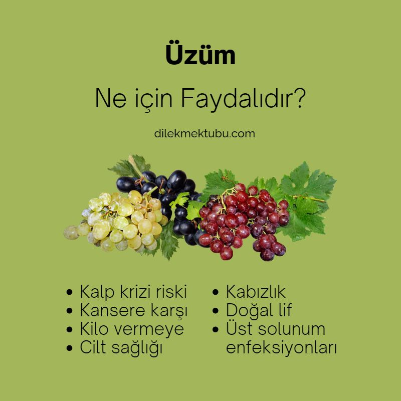 üzüm neye faydalı