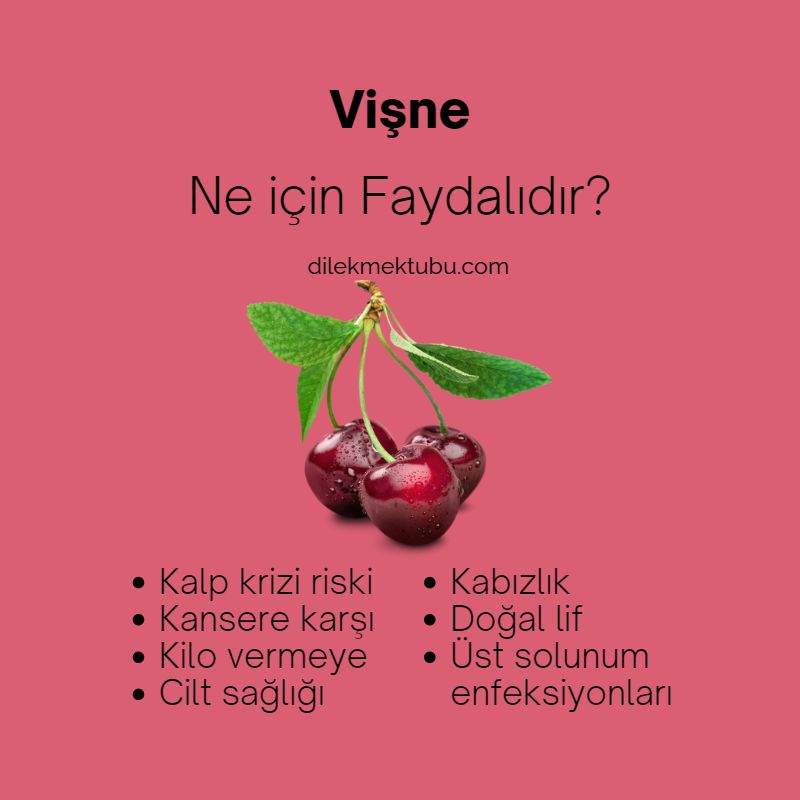 Meyvelerin faydaları