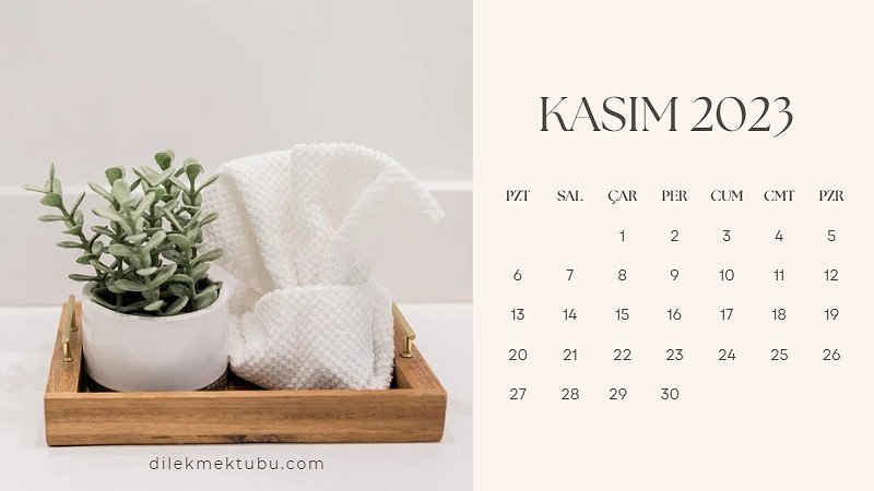 Kasım 2023 Takvimi