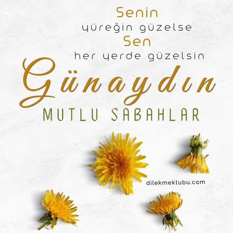 Günaydın Mesajları / 2 Ocak 2023