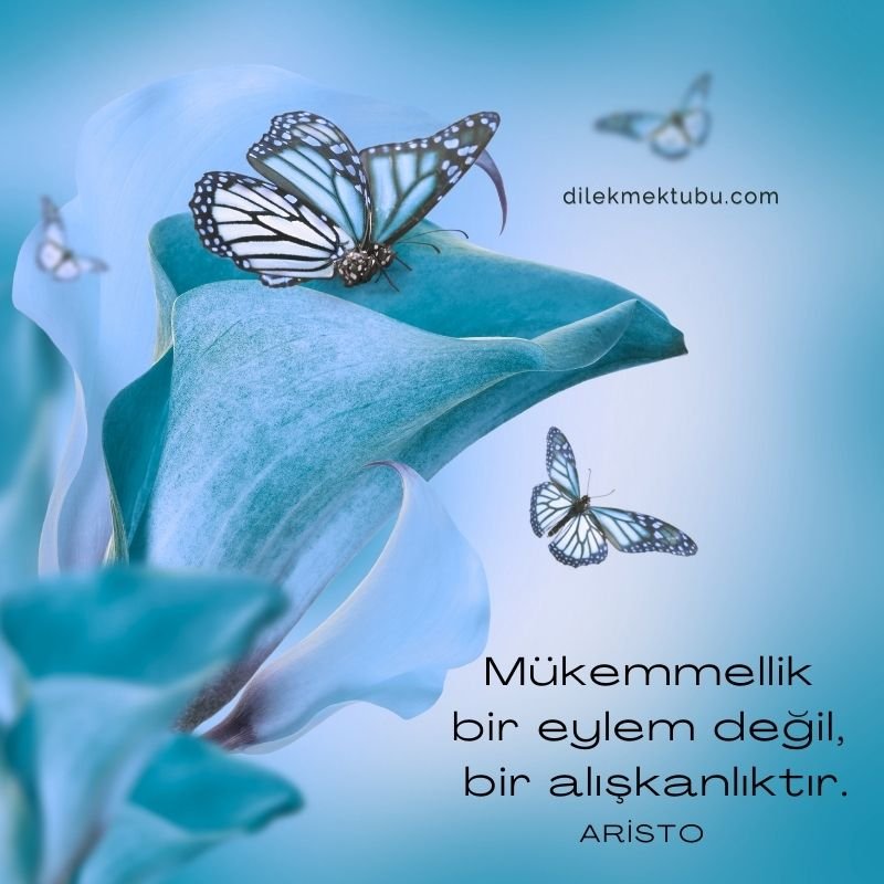 Motivasyon Sözleri 2022