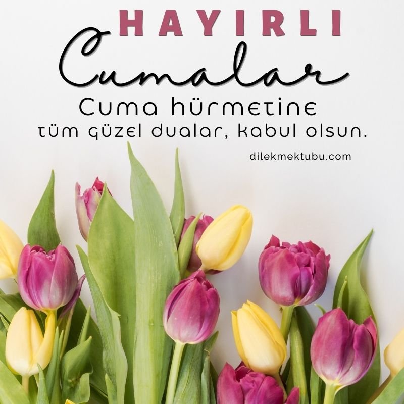 Cuma Mesajları ve Sözleri / 12 Ocak 2023