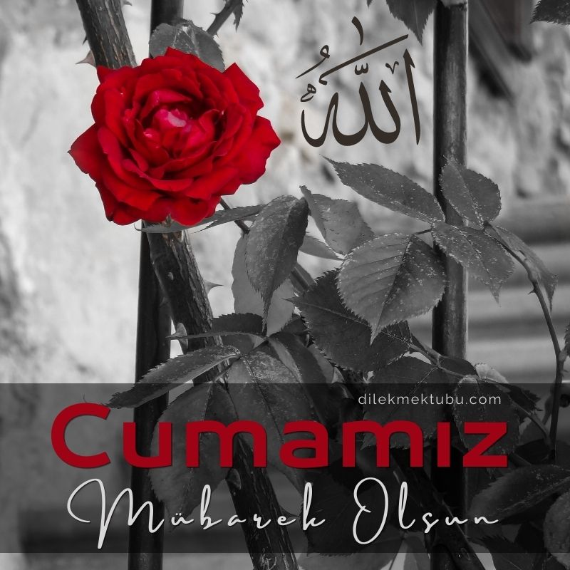 Cuma Mesajları ve Sözleri 