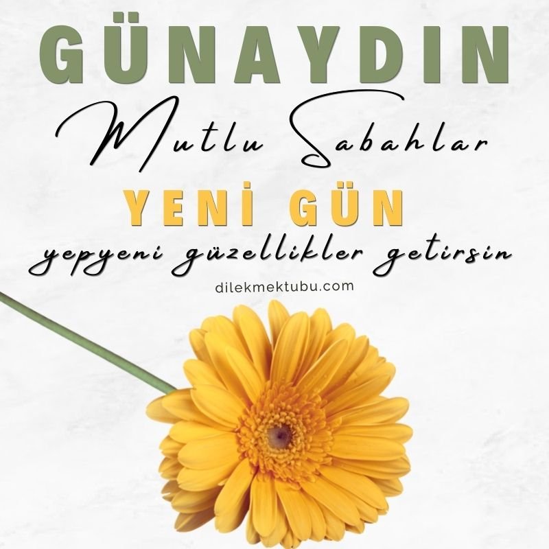 Günaydın Mesajları
