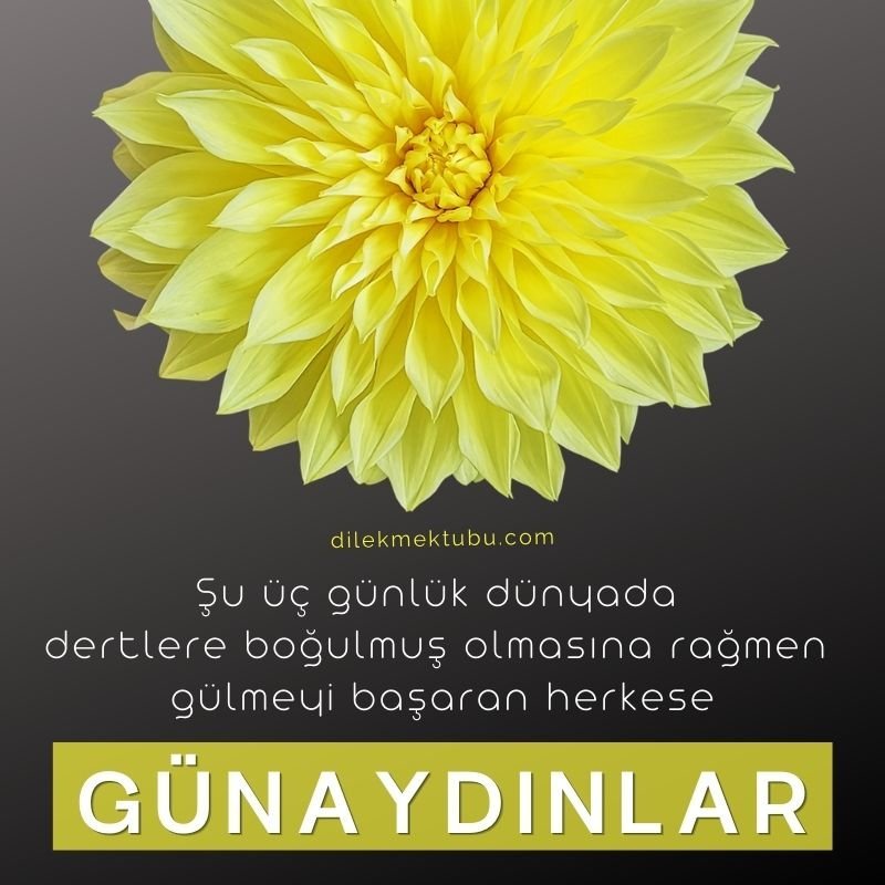 Günaydın Mesajları 2023