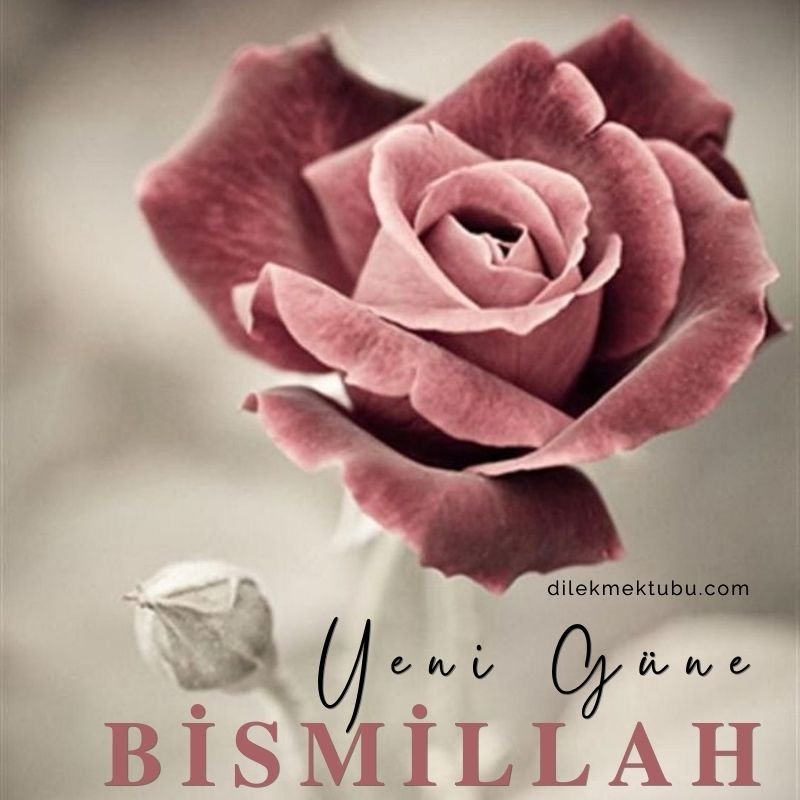 yeni günümüze bismillah
