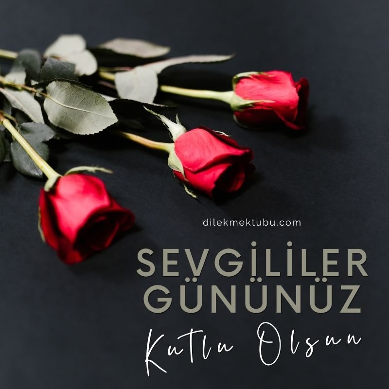 Sevgililer Günü 2023