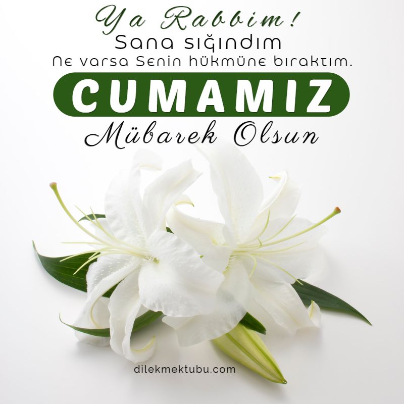 mübarek cuma