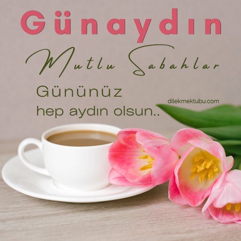 Etkileyici Günaydın Mesajları