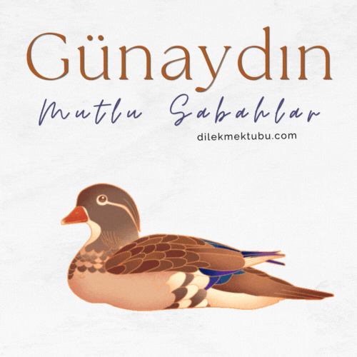 hareketli günaydın mesajı