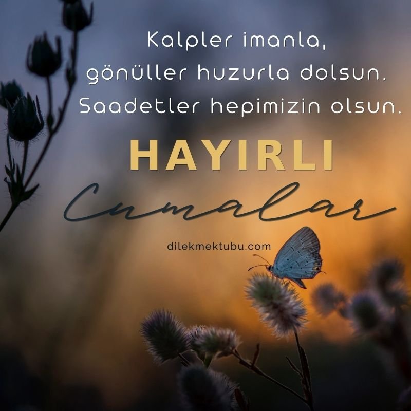 Dualı ve Hadisli Cuma Mesajları