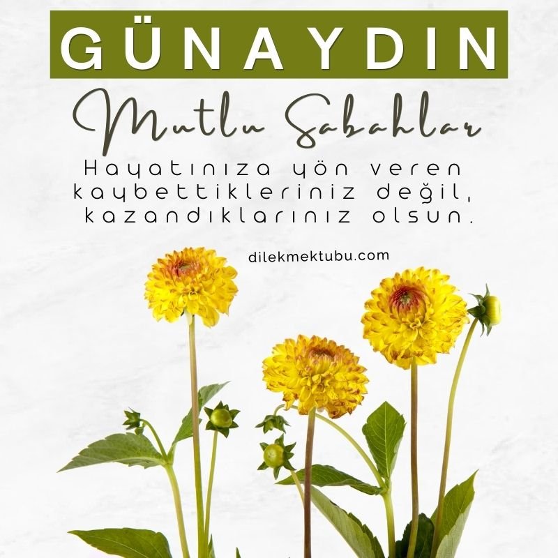 Günaydın hayırlı sabahlar