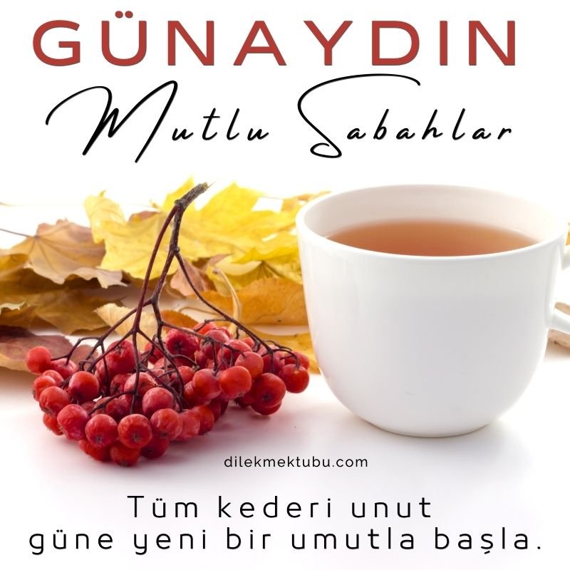 Dostlara Günaydın Mesajları